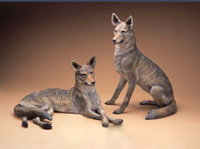 Coyote Couple by Star Liana York