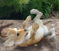 Coyote Pup Roll by Star Liana York
