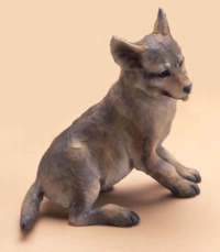 Coyote Pup SD by Star Liana York