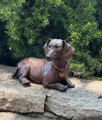 Dachsie by Star Liana York