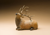 Elk Itch by Star Liana York