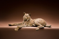 Missing Lynx by Star Liana York