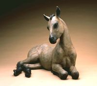 New Born by Star Liana York