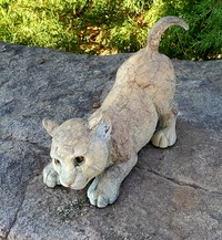 Pounce Cougar Cub by Star Liana York