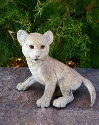 Ready Cougar Cub by Star Liana York