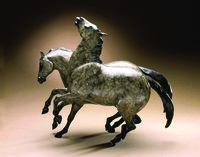 Stallion Dreams by Star Liana York