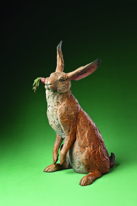 What's Up Doc by Star Liana York