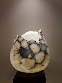 Luminous Earth by Susan Zalkind